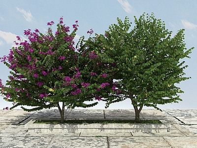 现代办公桌 有形开花景观植物