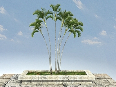 现代办公桌 景观植物