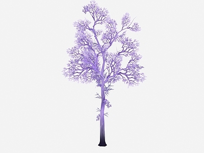 现代办公桌 现代植物紫树树木