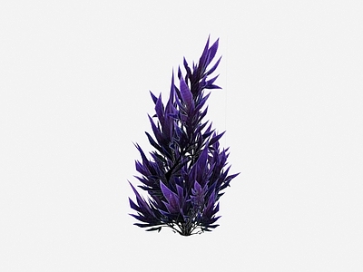 现代佛龛 现代植物紫色花草
