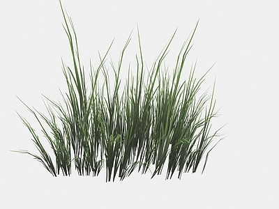 现代佛龛 现代植物花草小草