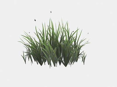 现代佛龛 现代植物花草杂草