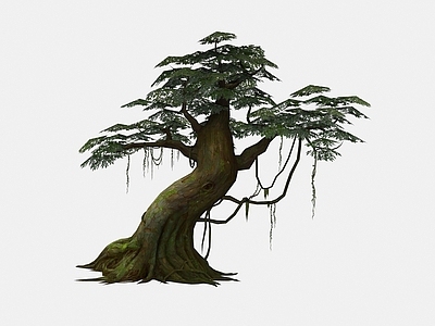 现代佛龛 现代植物老藤树木
