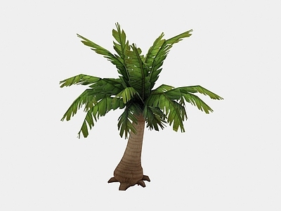 现代佛龛 现代植物芭蕉树木