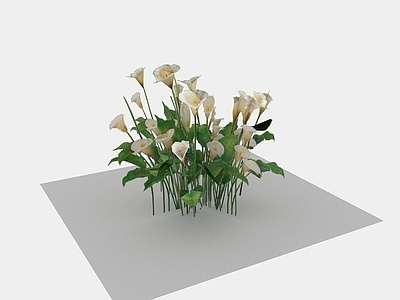 现代佛龛 现代植物小花花草