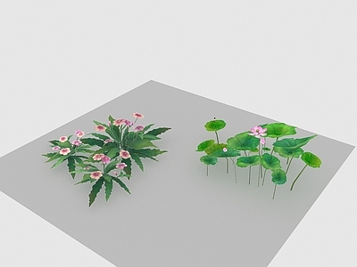 现代佛龛 现代植物路边野花