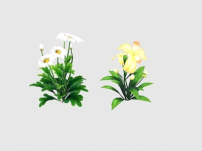 现代佛龛 现代植物野花