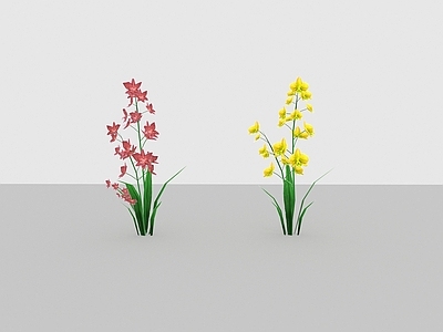现代佛龛 现代植物野花