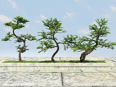现代办公桌 大树植物