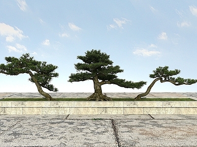 现代办公桌 大树植物