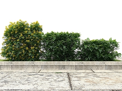 现代办公桌 景观绿化观赏植物
