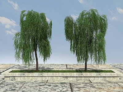 现代办公桌 柳树植物