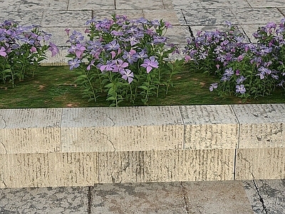现代办公桌 花草景观植物