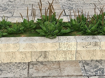 现代办公桌 花草景观植物
