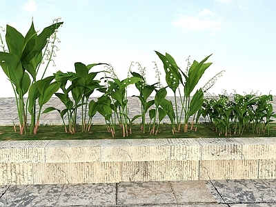 现代办公桌 花草景观植物