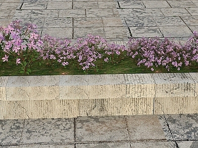 现代办公桌 花草景观植物
