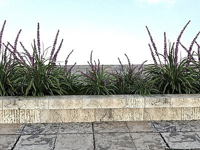 现代办公桌 花草景观植物