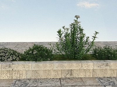 现代佛龛 花草景观植物