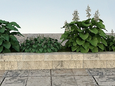 现代佛龛 花草景观植物