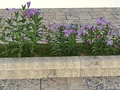 现代办公桌 花草景观植物