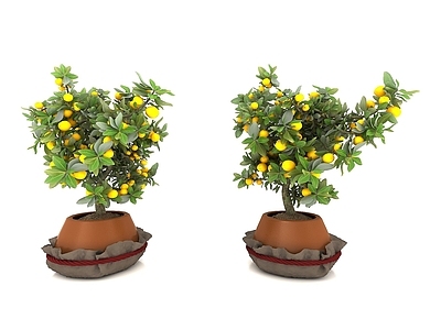 现代佛龛 绿色植物盆栽