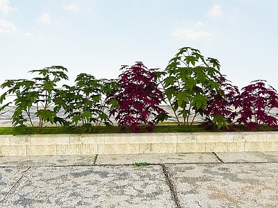 现代办公桌 景观开花植物