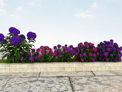 现代办公桌 景观开花植物