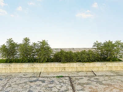 现代办公桌 景观开花植物