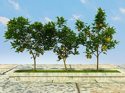 现代办公桌 果树植物