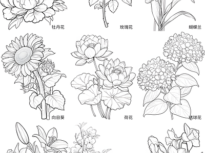 现代绿植 植物立面 施工图