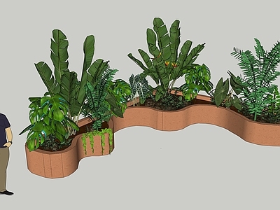 植物组合 盆栽组合 树池植物组合