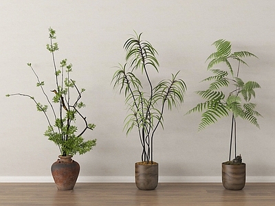 盆栽 植物盆栽组合 盆栽盆景