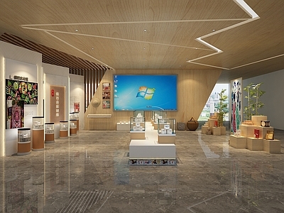 现代其他展厅 民族文化展厅