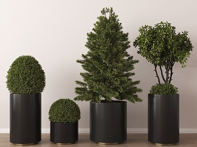 盆栽 盆栽盆景 植物盆栽组合