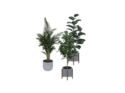 盆栽 家装绿植盆栽