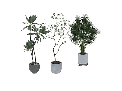 盆栽 家装绿植盆栽