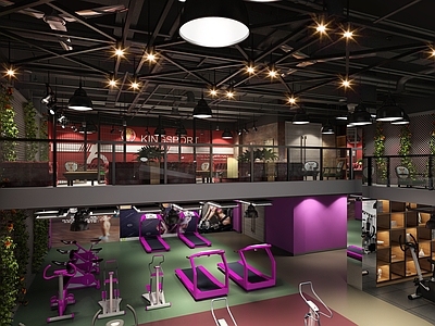 现代健身房 酒吧 迪厅 健身房 运动器材 员工活动中心