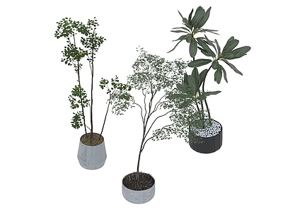 盆栽 家装绿植盆栽