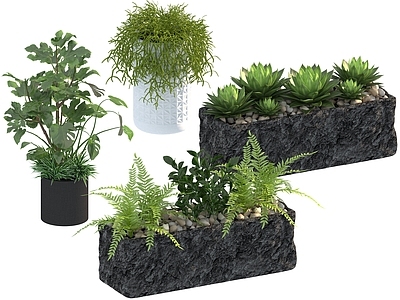 盆栽 家装绿植盆栽