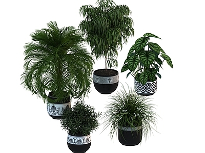 盆栽 家装绿植盆栽