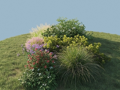花草组合 花草组合 花镜组团 灌木组合
