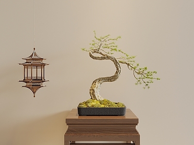 盆景 宋式风盆景 中式盆景 盆栽绿植 植物 禅意盆景