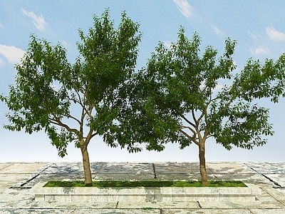 现代办公桌 果树植物