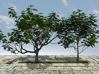 现代佛龛 果树植物
