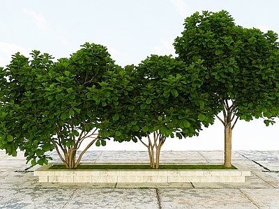 现代办公桌 景观开花植物