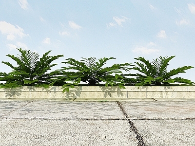 现代佛龛 景观植物