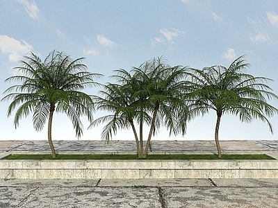 现代办公桌 景观植物