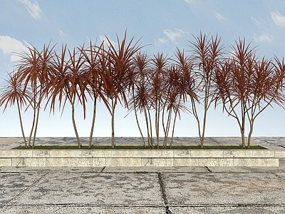 现代办公桌 景观植物