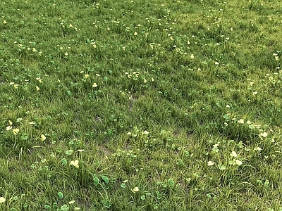 现代佛龛 现代草地草坪