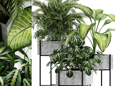 现代佛龛 现代植物盆栽